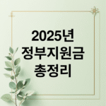 [2025 최신] 정부지원금 완벽 가이드: 생애주기별 맞춤 혜택 & 신청 방법 총정리
