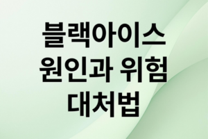 블랙아이스 완벽 가이드: 발생 원인, 위험성부터 사고 예방 및 대처법까지2025