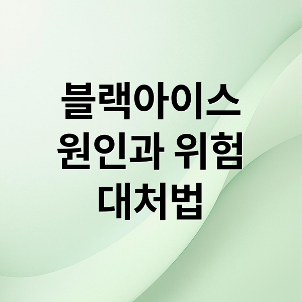 블랙아이스 완벽 가이드: 발생 원인, 위험성부터 사고 예방 및 대처법까지2025