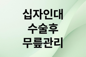 십자인대 수술 후 무릎 관리 필수 가이드: 콘드로이친 효과와 선택 및 섭취법 완벽 정리