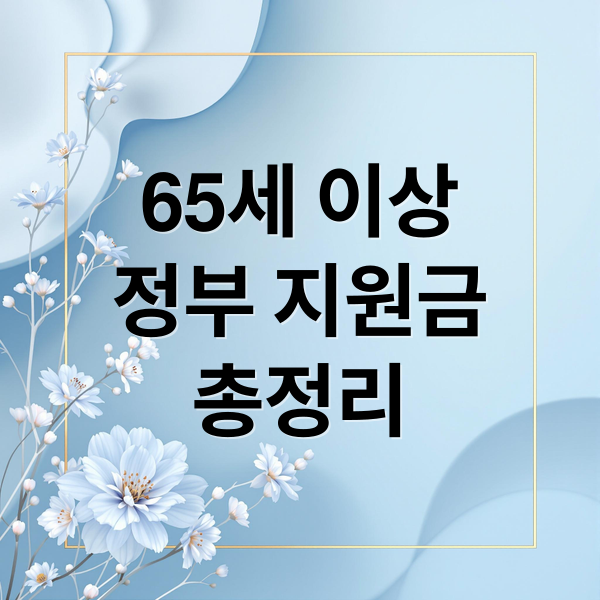 65세 이상 정부 지원금 총정리: 기초연금, 의료, 일자리, 신청 방법 완벽 가이드